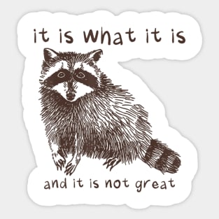 It Is What It Is And It Is Not Great Racoon Sticker